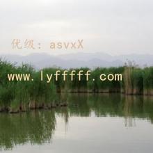 α