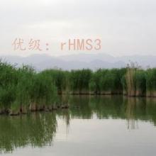 α