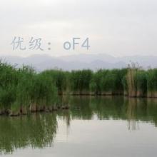 Ȼ