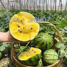 Ļ