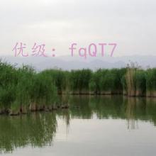 α