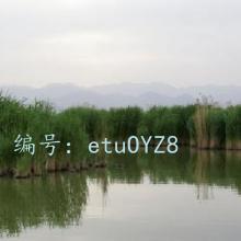 չ滮