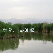 չ滮