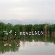 չ滮