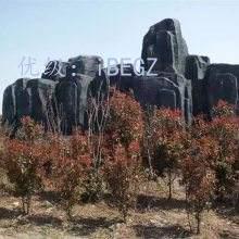 չ滮