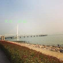 Ҿ