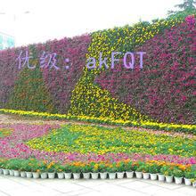 ζ