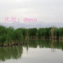 չ滮