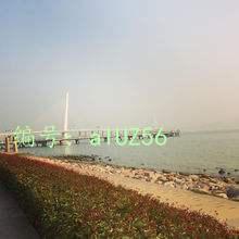 α