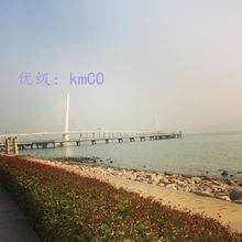 ̬
