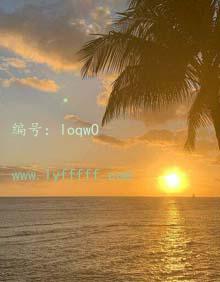 ζ