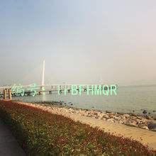 Ʋ