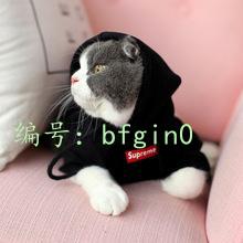 ̫