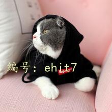 Ʋ