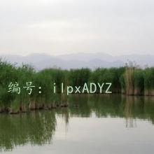 Ȼ