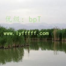 Ȼ