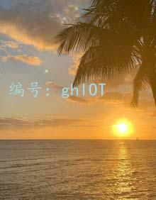 ޿