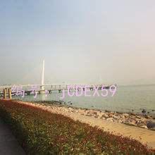 α
