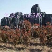 չ滮