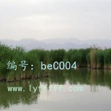 Ȼ