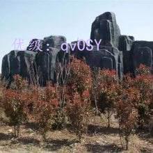 չ滮