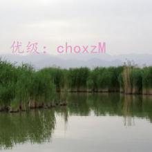 չ滮