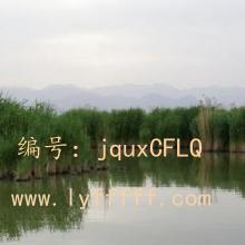 ʦ