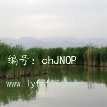 Ŀ