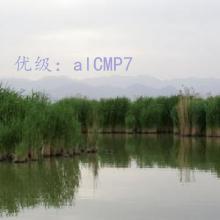 չ滮