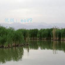 α