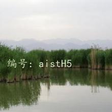 ϣ