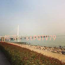 ˲